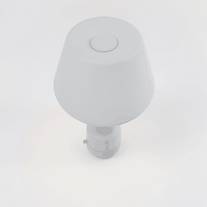 Lamp and Lighting